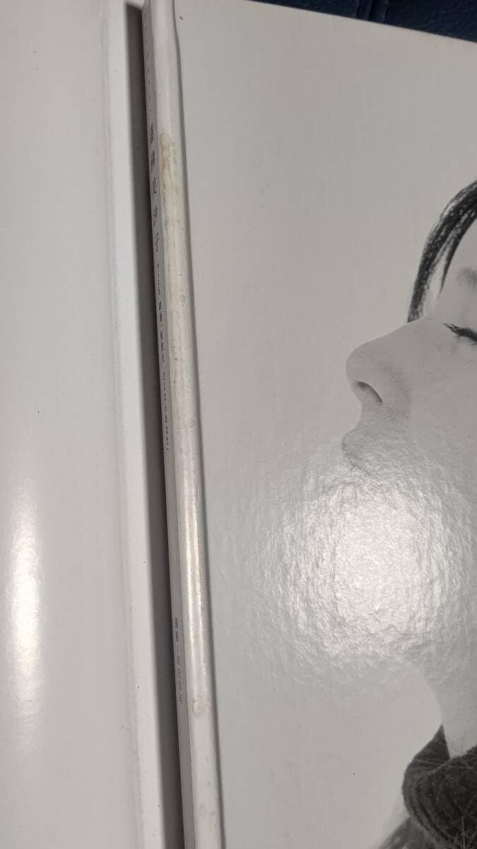 Amazon.co.jp: 蓮佛 美沙子 直筆サイン入り 写真集 難あり